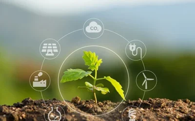 Why Sustainability Is Still the Future of Procurement